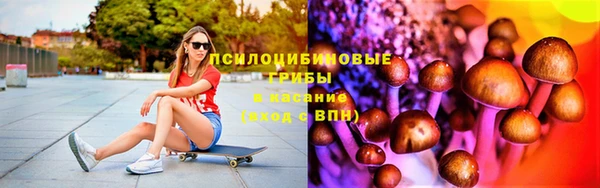 шишки Гусь-Хрустальный