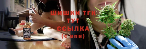 дмт Гусев