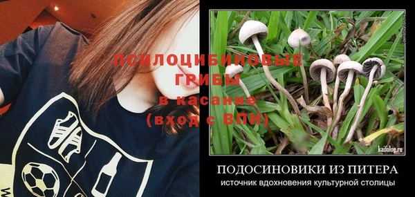 шишки Гусь-Хрустальный