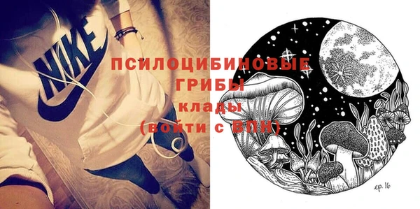 шишки Гусь-Хрустальный