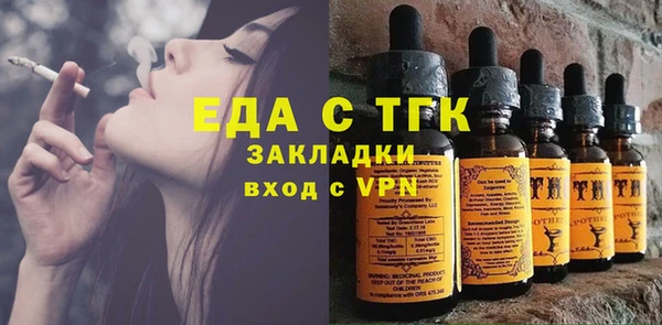 шишки Гусь-Хрустальный