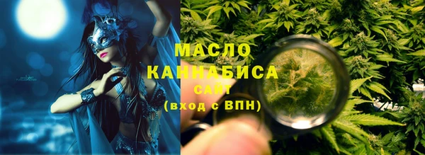 мет Дмитров