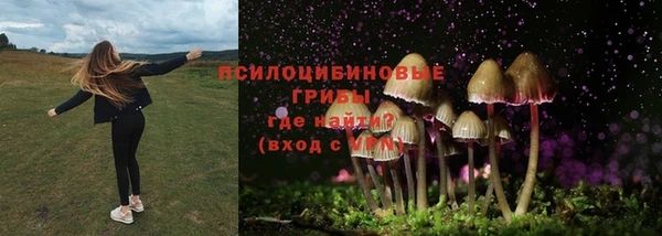 шишки Гусь-Хрустальный