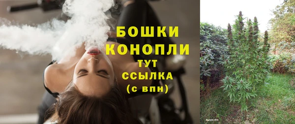 дмт Гусев