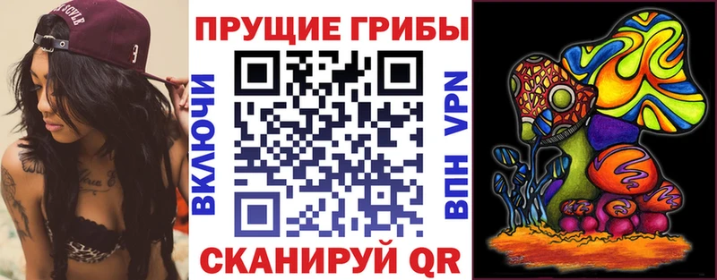 Галлюциногенные грибы мухоморы  Купить  Киреевск 